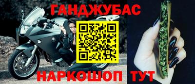 шишки Тара
