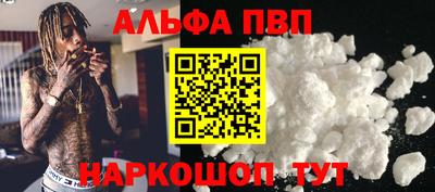 шишки Тара