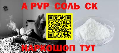 шишки Тара