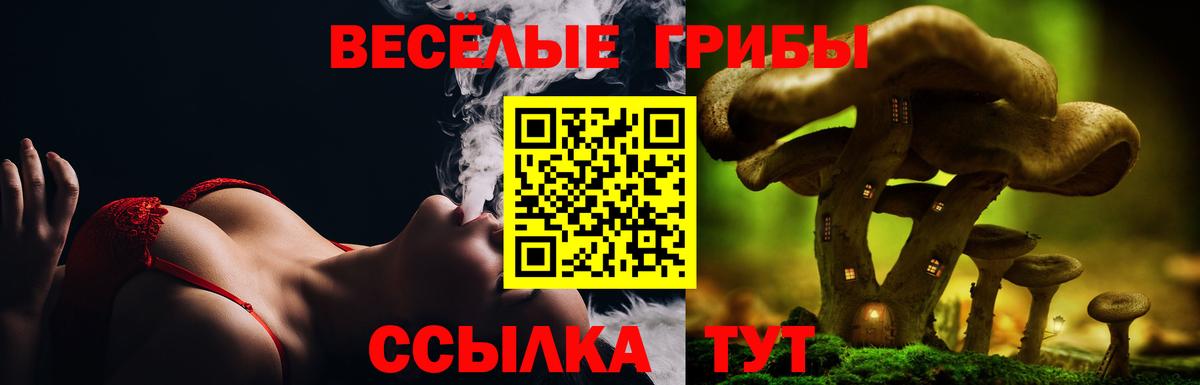 Галлюциногенные грибы GOLDEN TEACHER  Галлюциногенные грибы мухоморы  Вход с VPN  Острогожск 